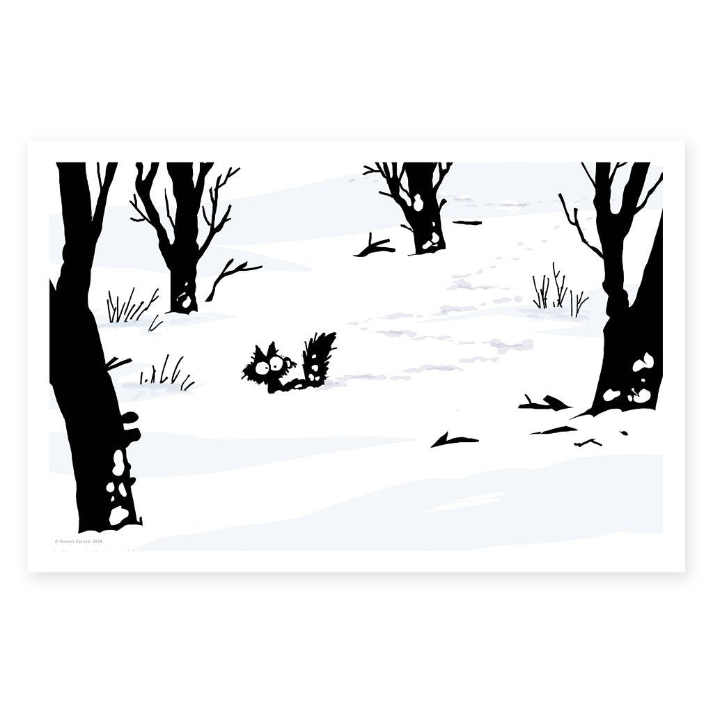 Snow Shoes - Art Print (61x40cm)